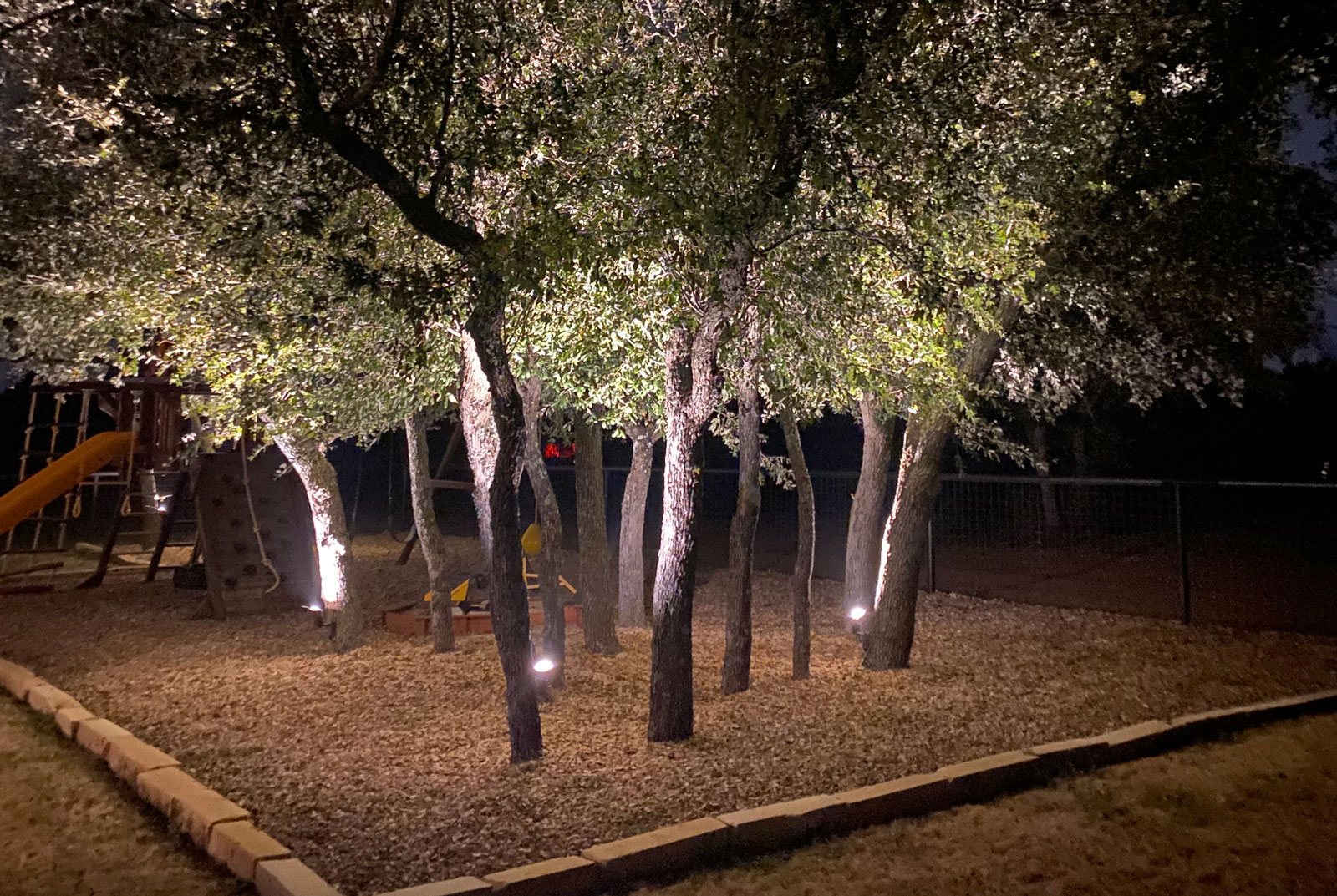Tree uplights installed by Longhorn Electric
